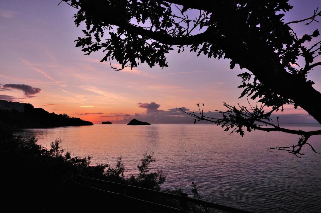 English Riviera Sunrise Villa Torquay Eksteriør bilde